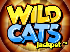 Wild Cats gokkast stakelogic