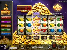 Starfruit 4 Player multiplayer gokkast